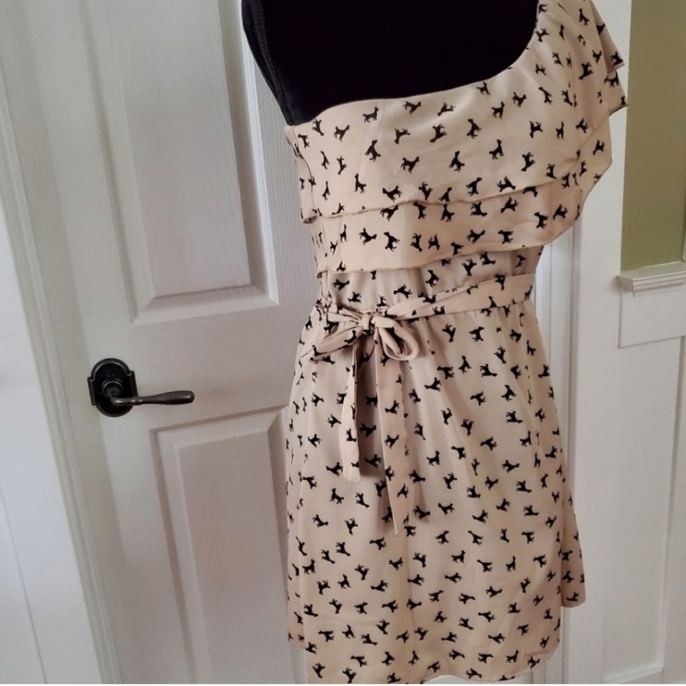 Poodle asymmetrical ruffle belted sheer mini unique dog lover dress light